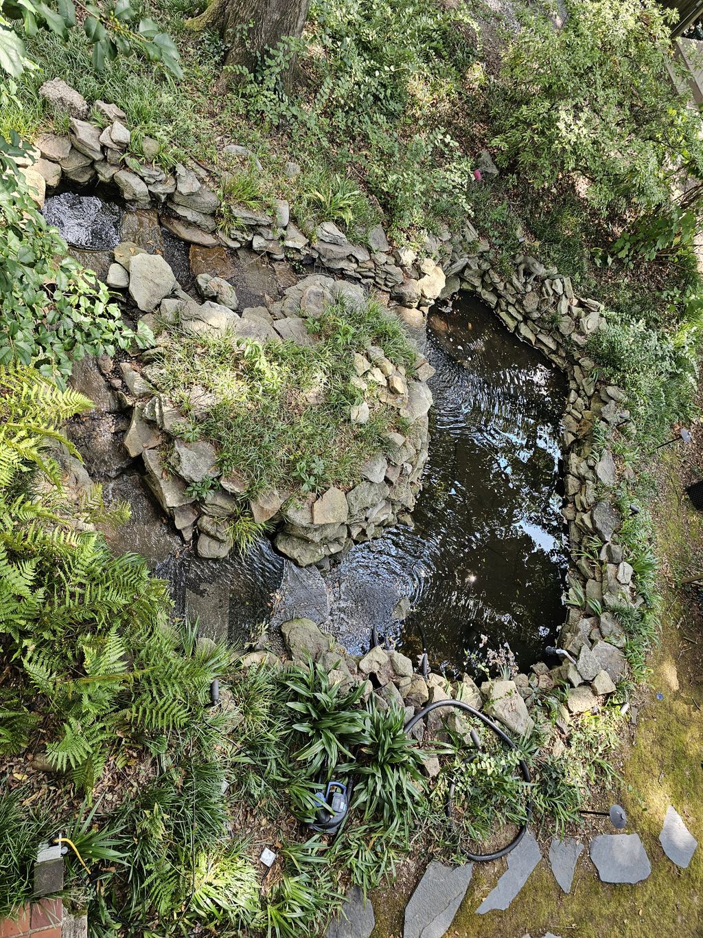 Aerial shot of water feature