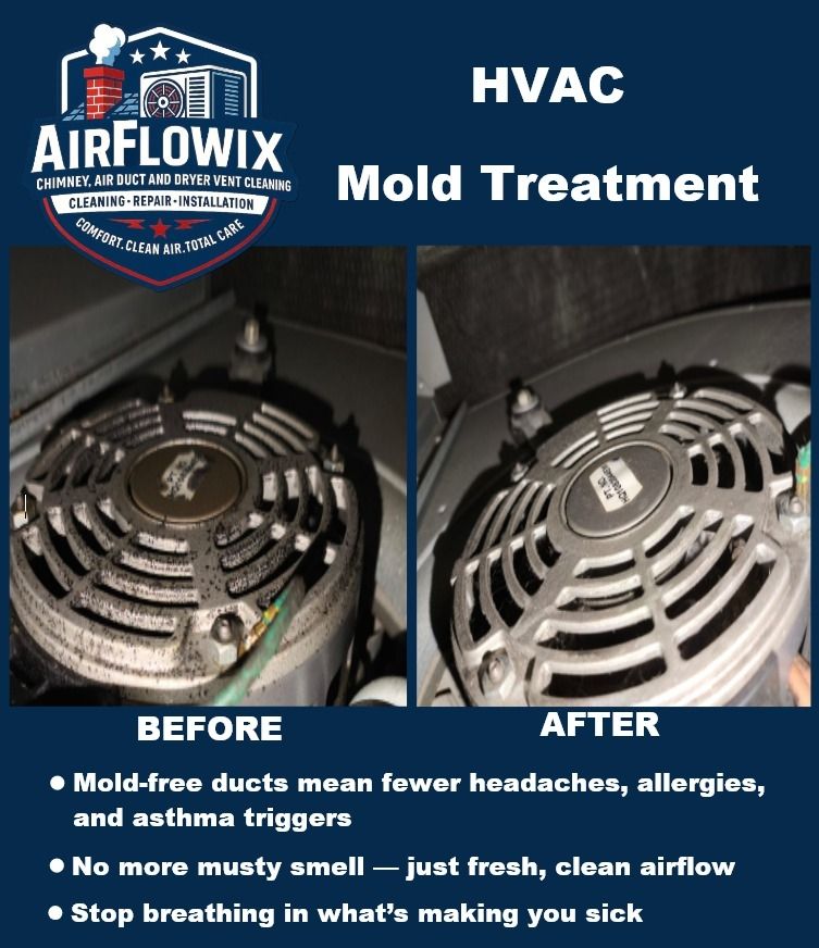 Job Done 👍🏽 Mold Treatment!