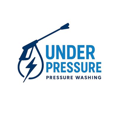 Avatar for Under Pressure Washing Co.