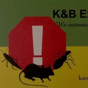 Avatar for K and B Exterminating