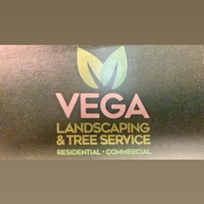 Avatar for Vega Landscaping & tree service