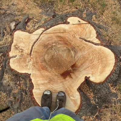 Avatar for Harold vickers