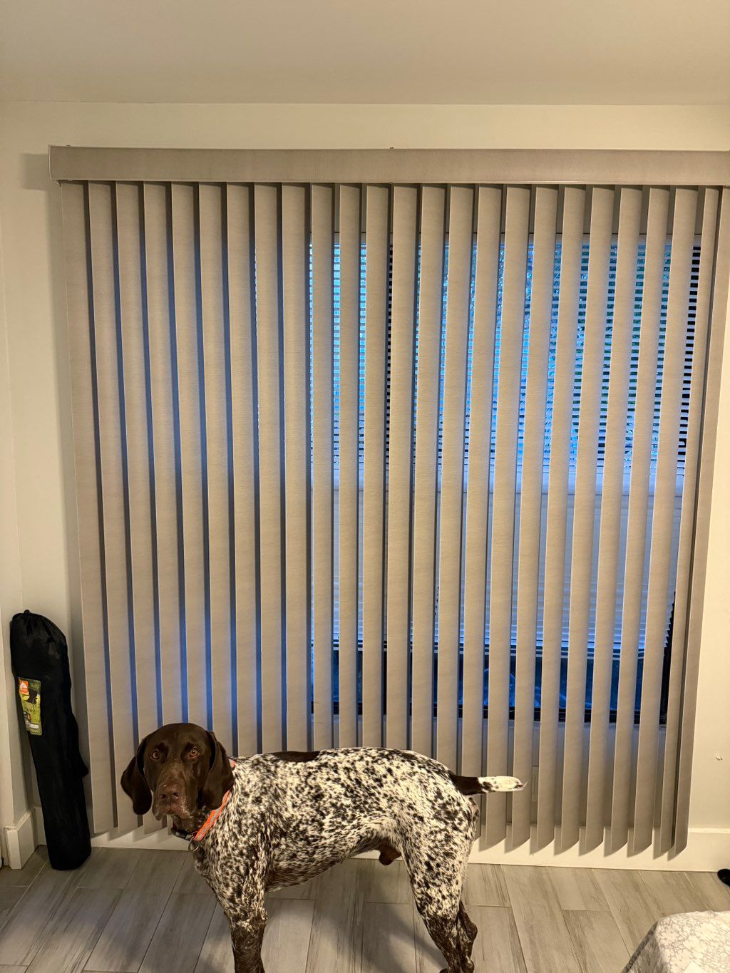 Vertical Blinds instaled
