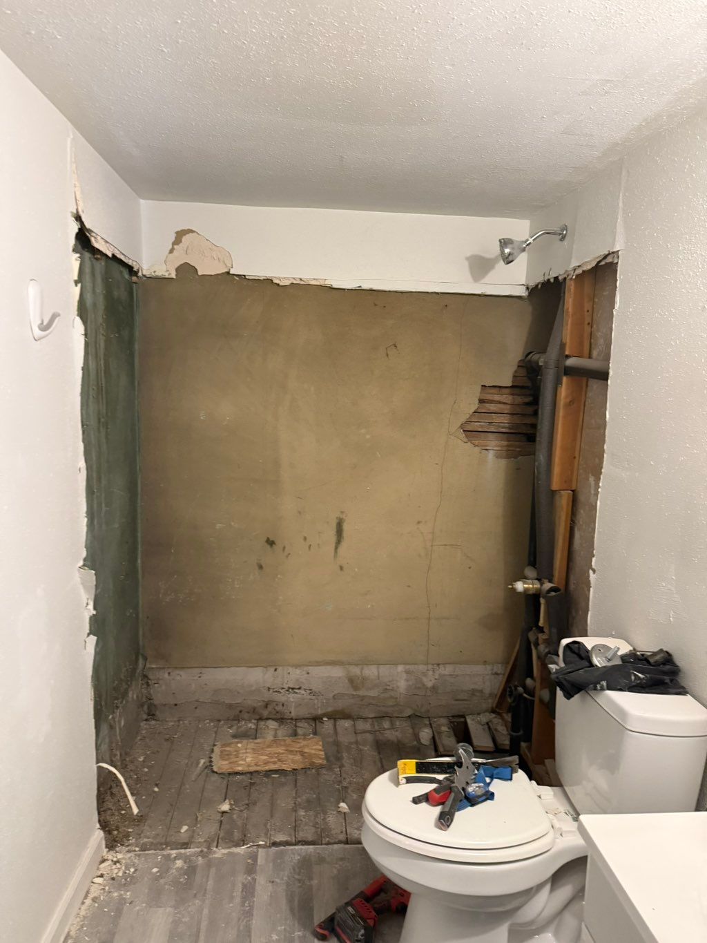 Projects and media