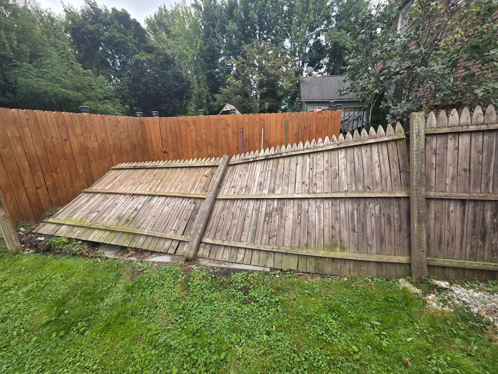 Broken Fence posts.