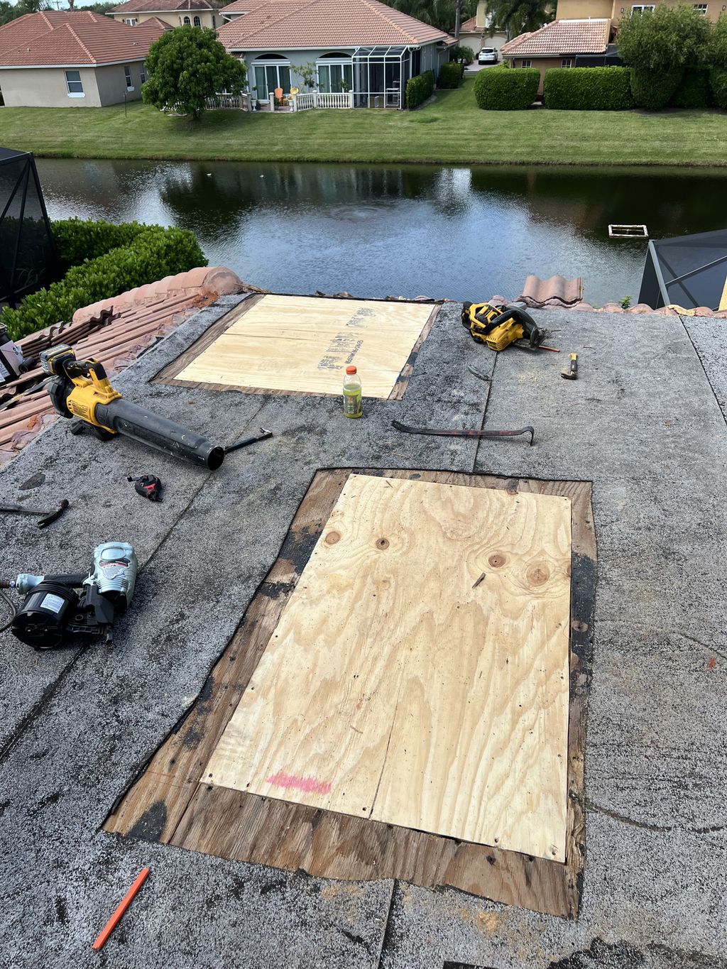Projects and media