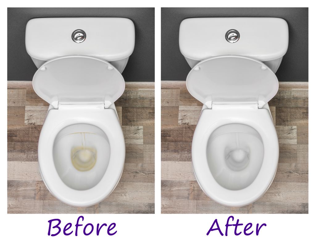 Toilet Before and After