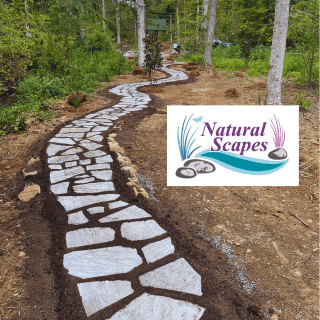 Avatar for Natural Scapes Asheville