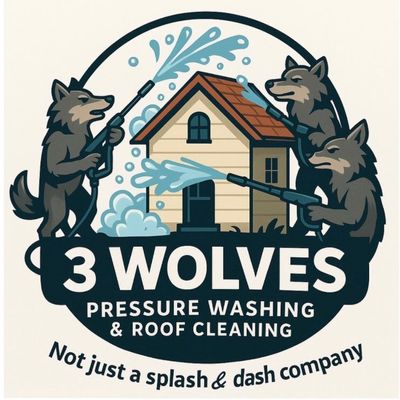 Avatar for 3 wolves pressure washing llc