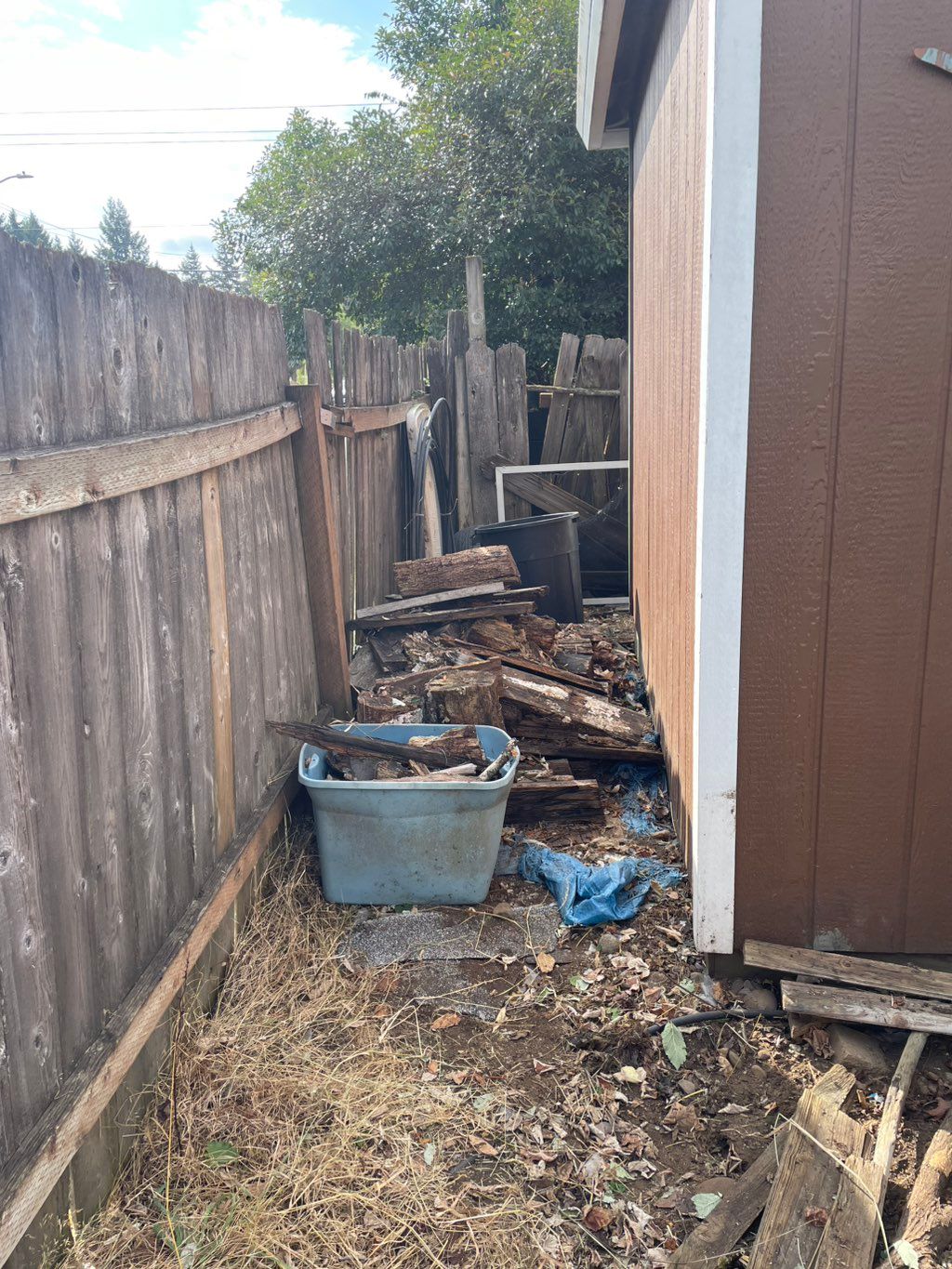 Bramble removal after 