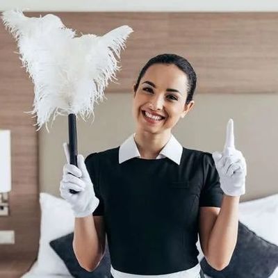 Avatar for High Net-worth Maid Services