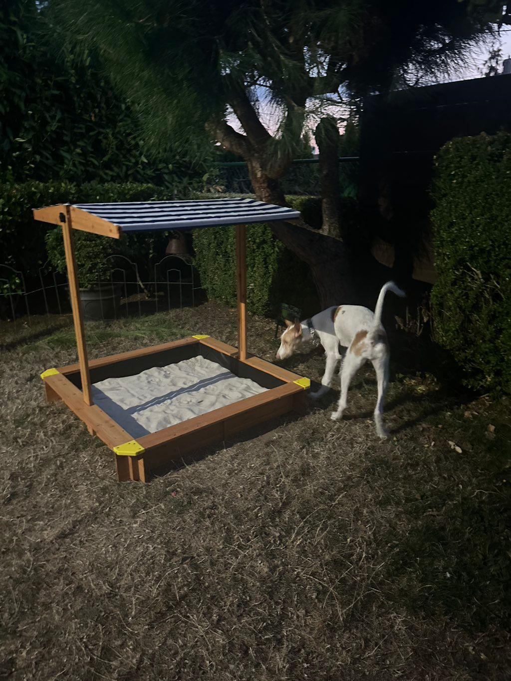 Customer photos