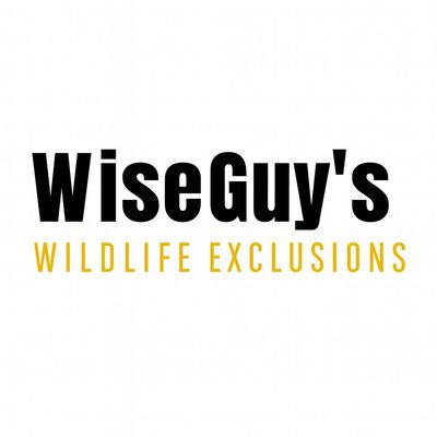 Avatar for WiseGuy's Wildlife Exclusions