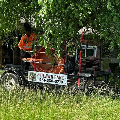 Avatar for VIP LAWNCARE AND MORE