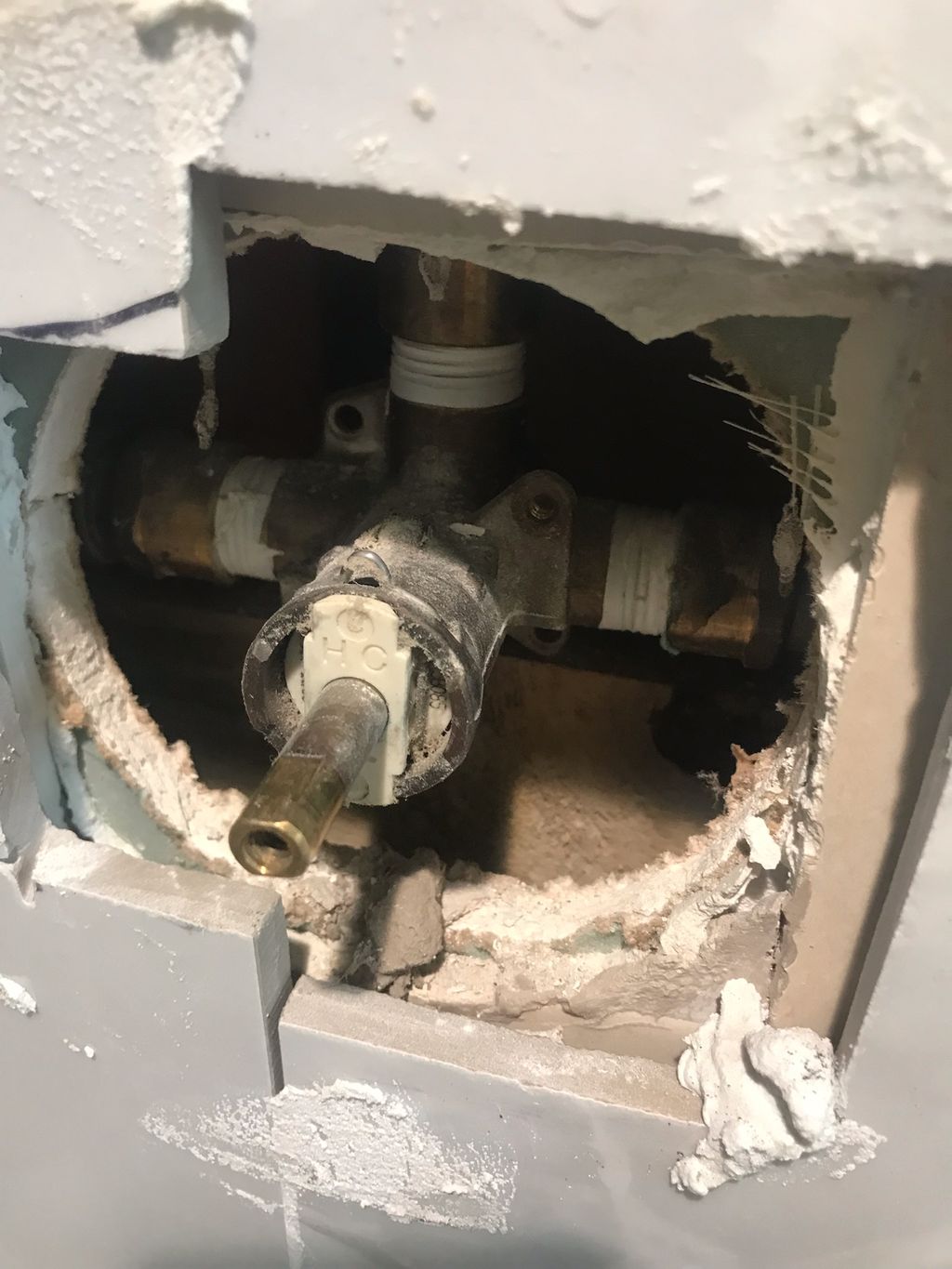 Before photo. Shower buddy