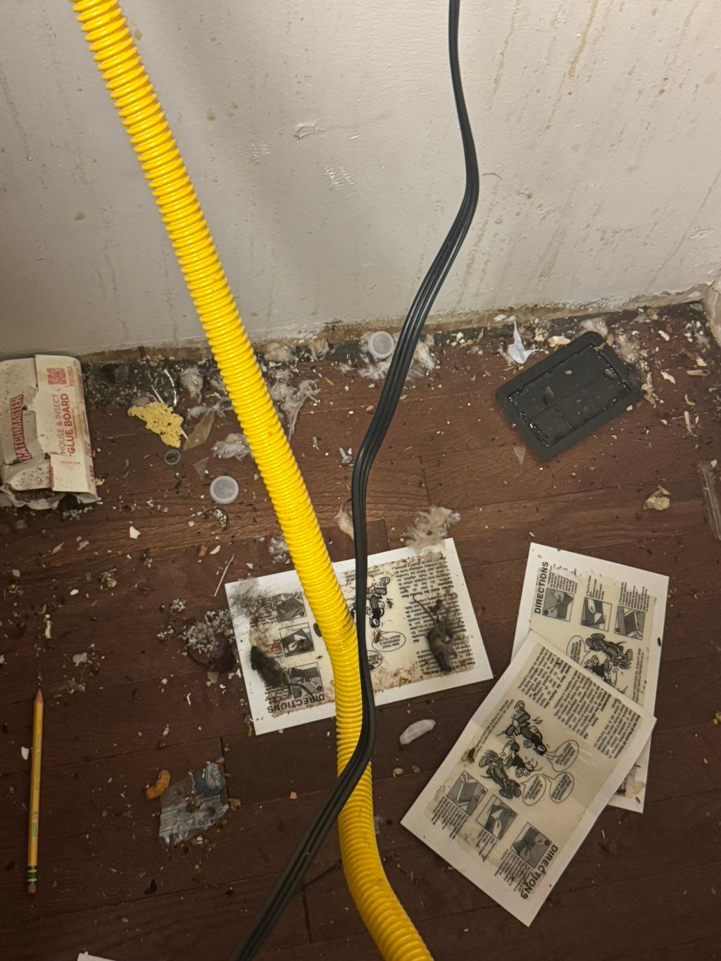 Projects and media
