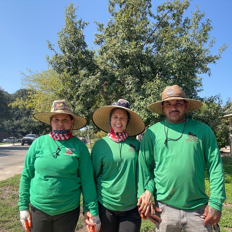 Green Thumb Carrazco Landscaping