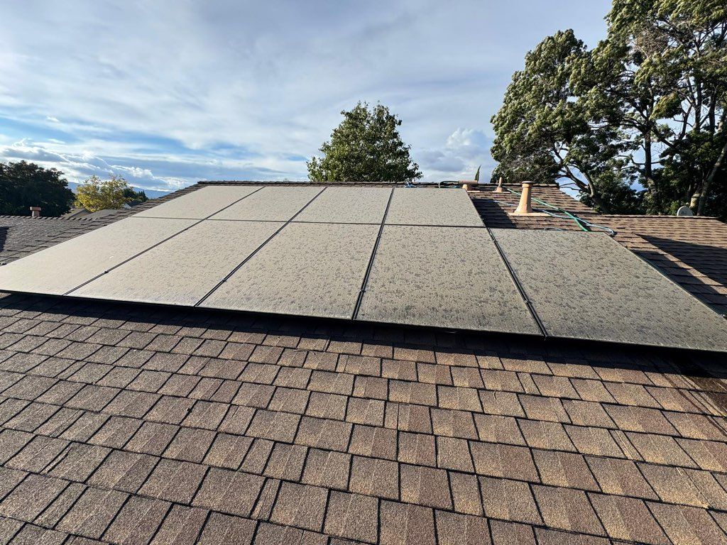Before Solar Panel Clean 