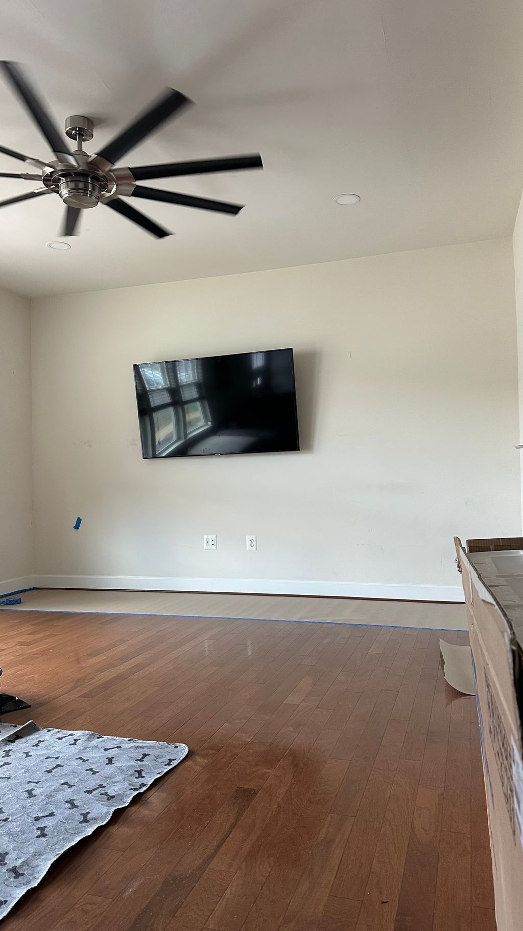 Projects and media