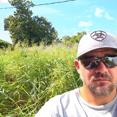Avatar for Clean Cut Lawn Care