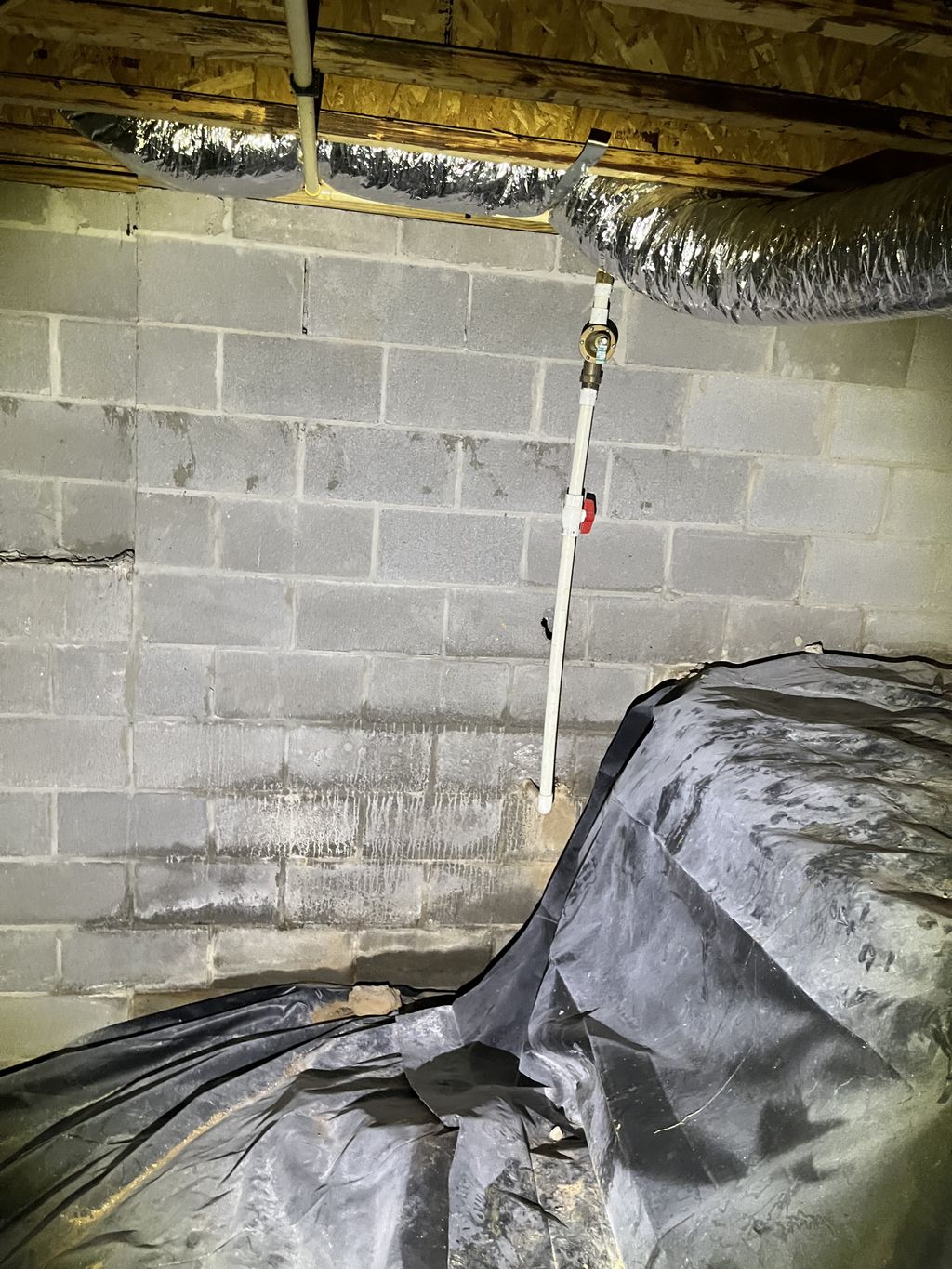 I spy water damage...