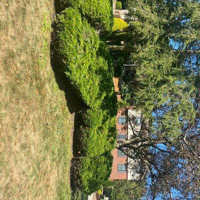 Avatar for Frisco’s Landscaping