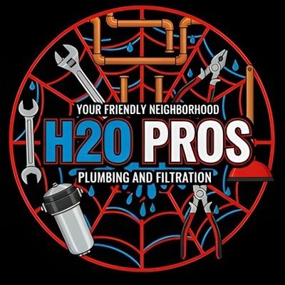 Avatar for Your Friendly Neighborhood H2O Pros