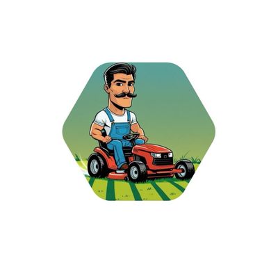 Avatar for Boro Lawn & Property