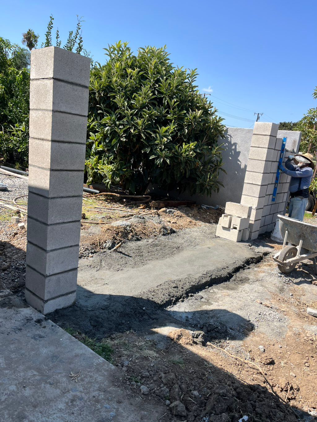 Projects and media