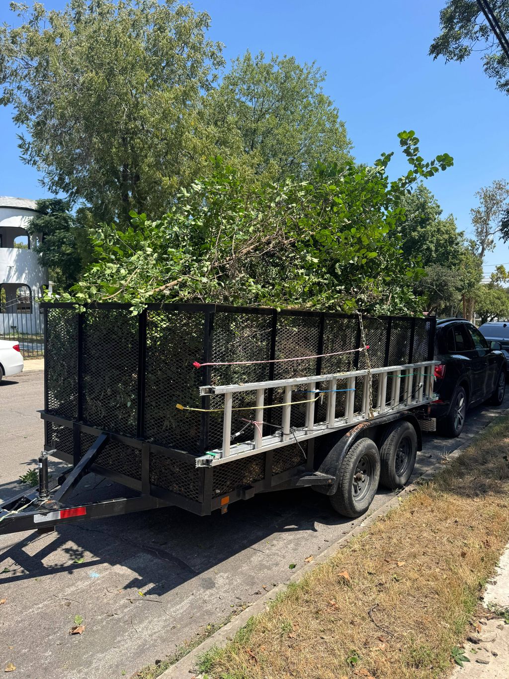 After good tree service