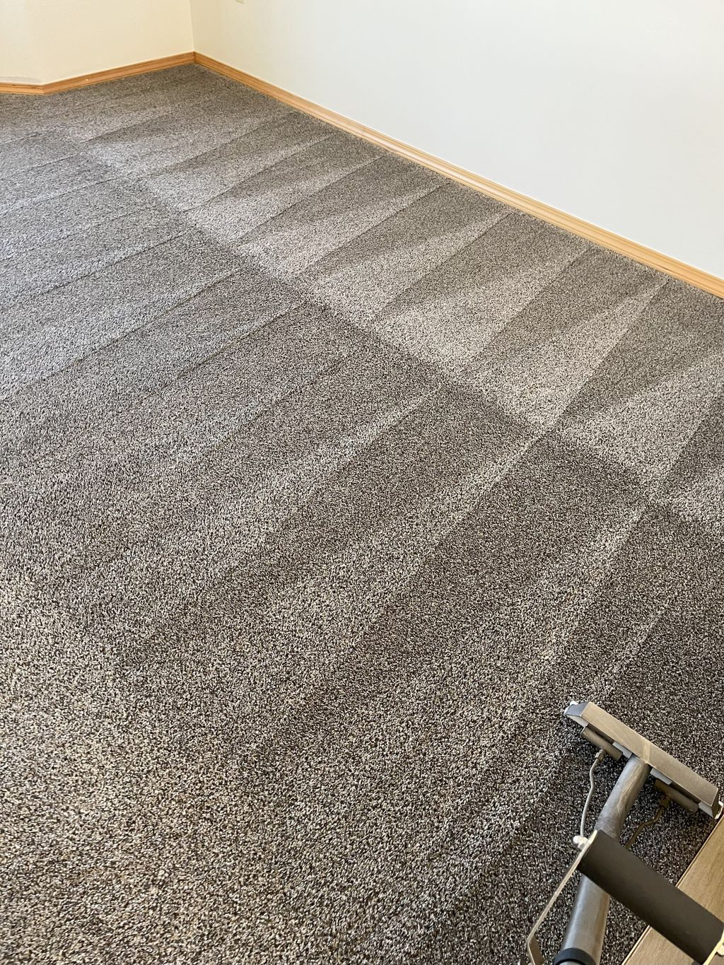 Carpet Cleaning