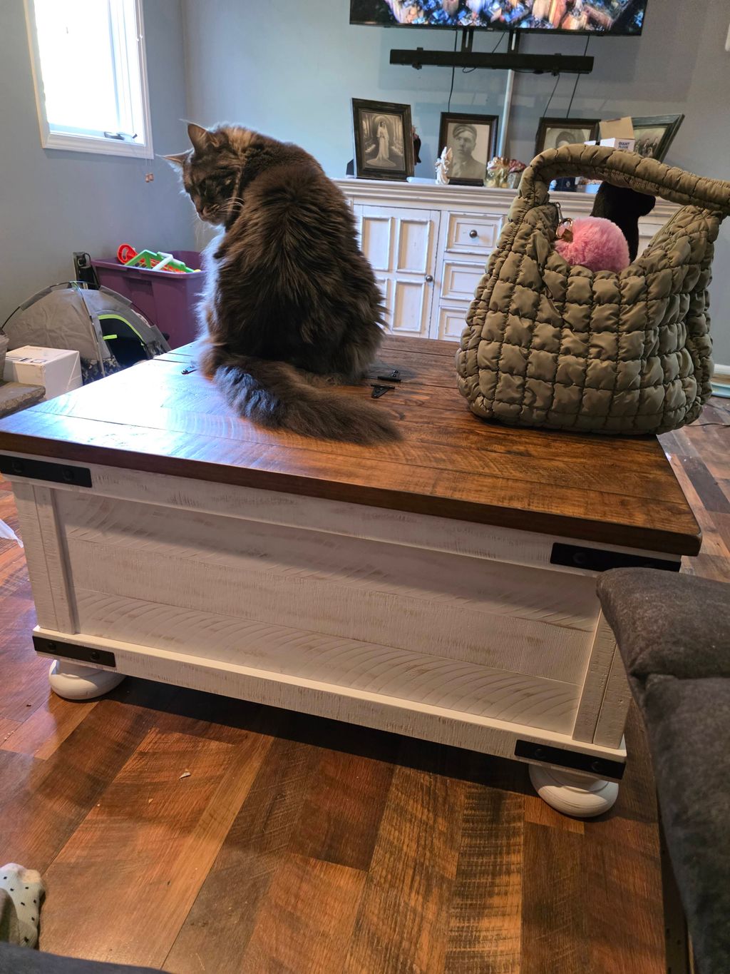 Customer photos