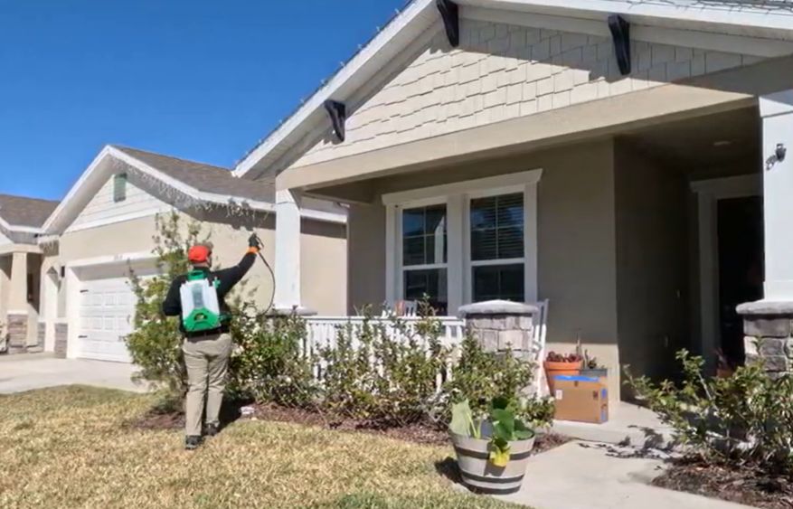 Exterior Treatment