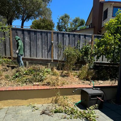 Avatar for general gardening services