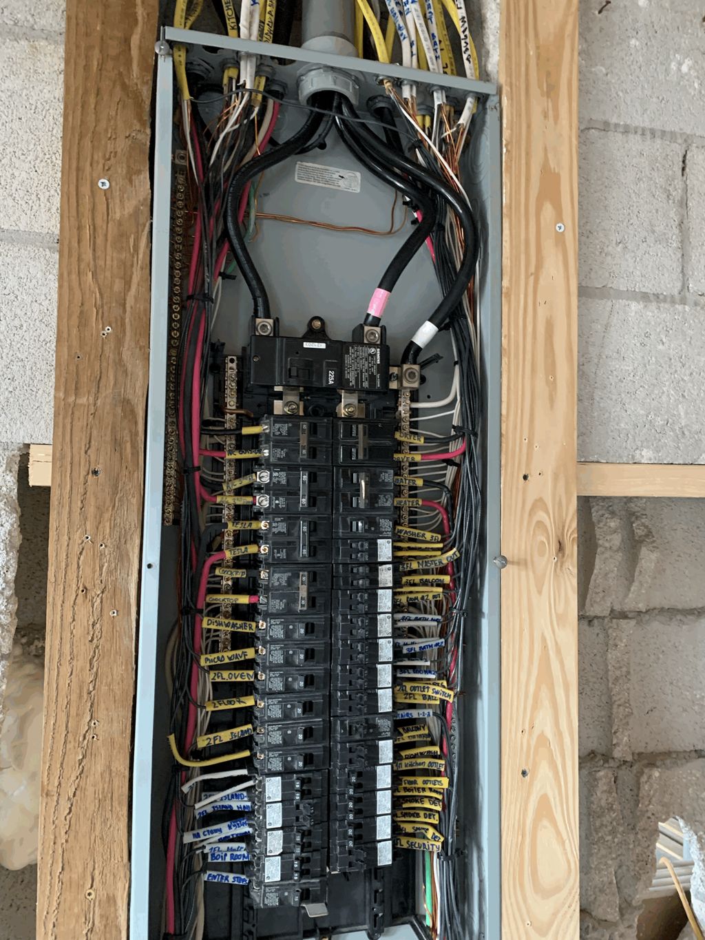 Projects and media