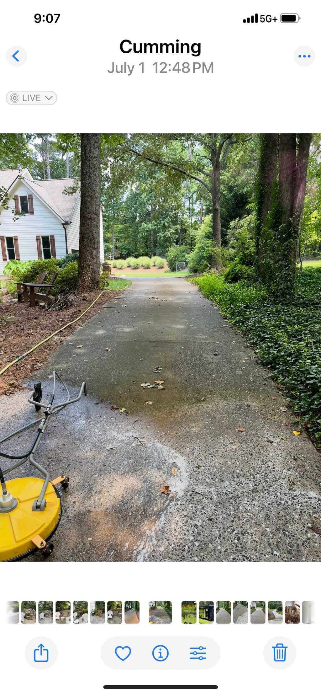 Dirty driveway w moss. 