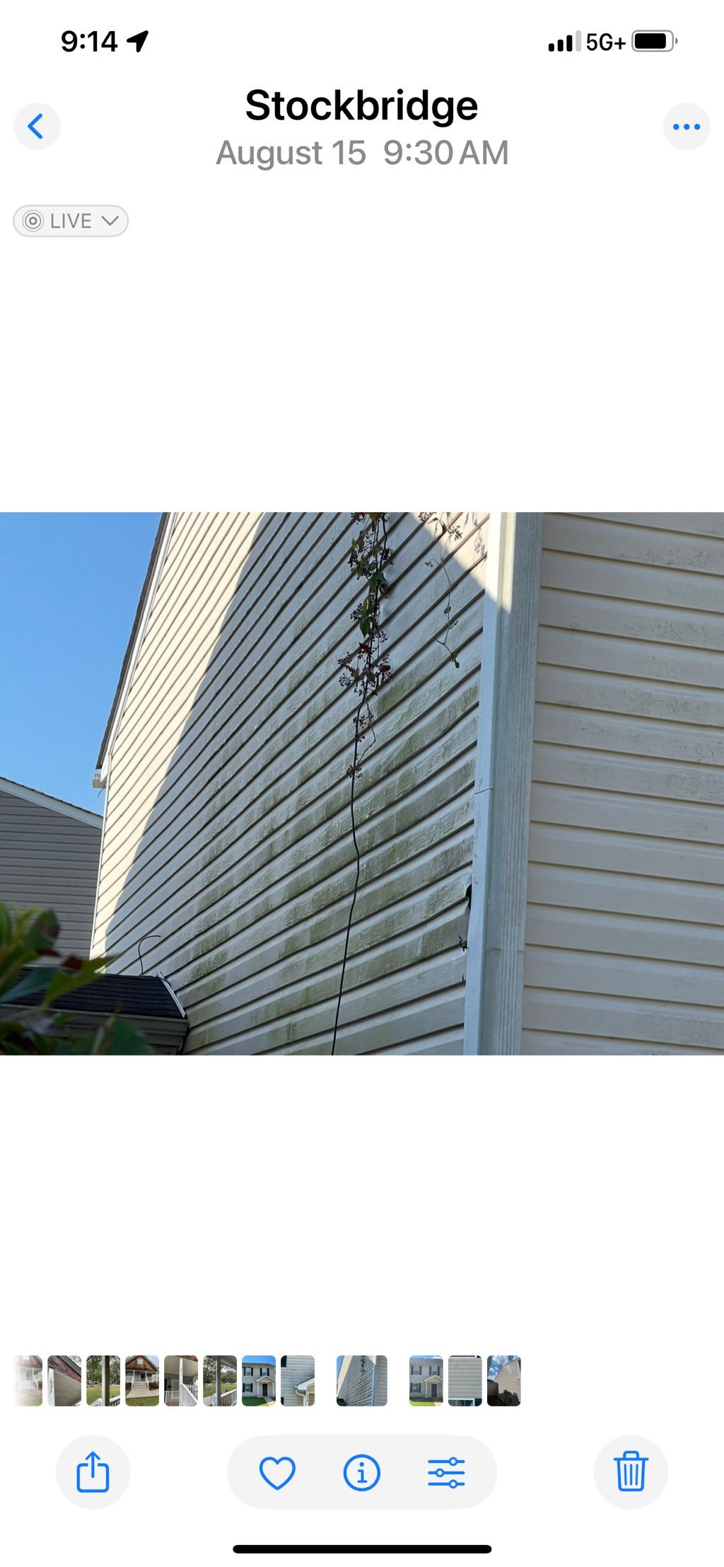 Green algae on siding. 
