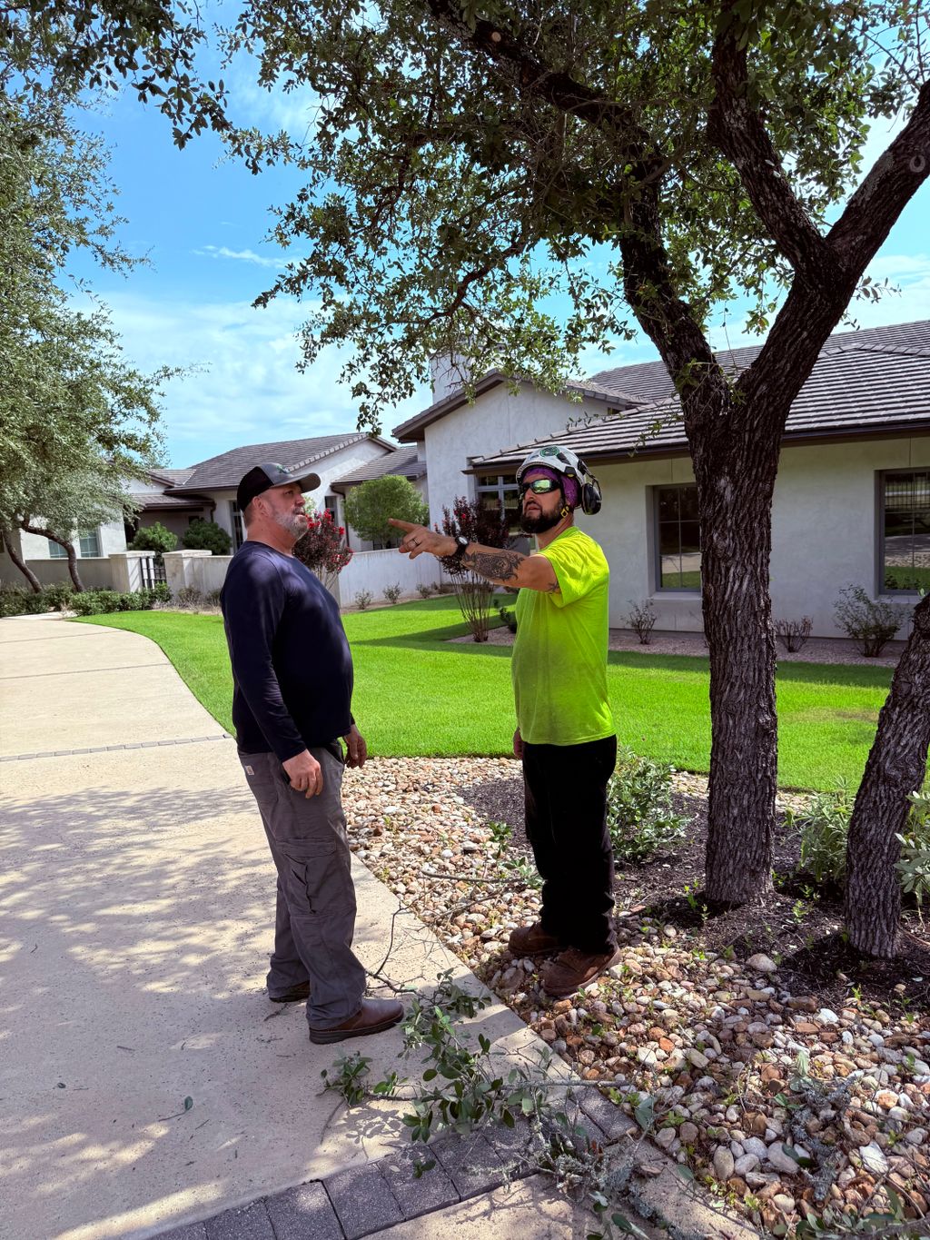 Certified Arborist and Crew Lead on site