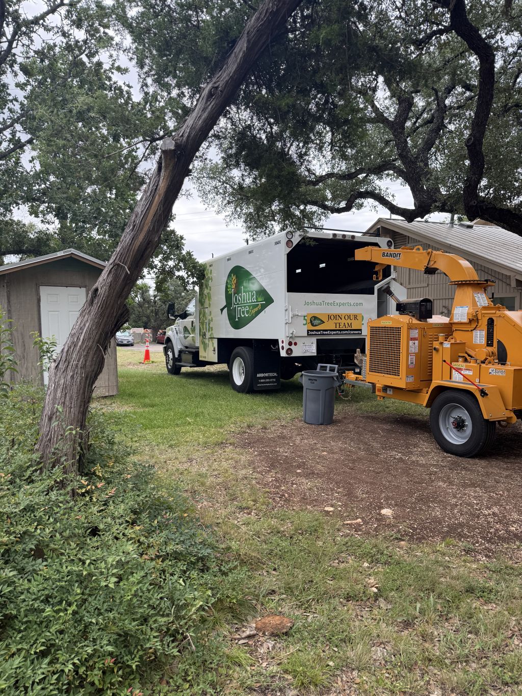 Tree removal Service