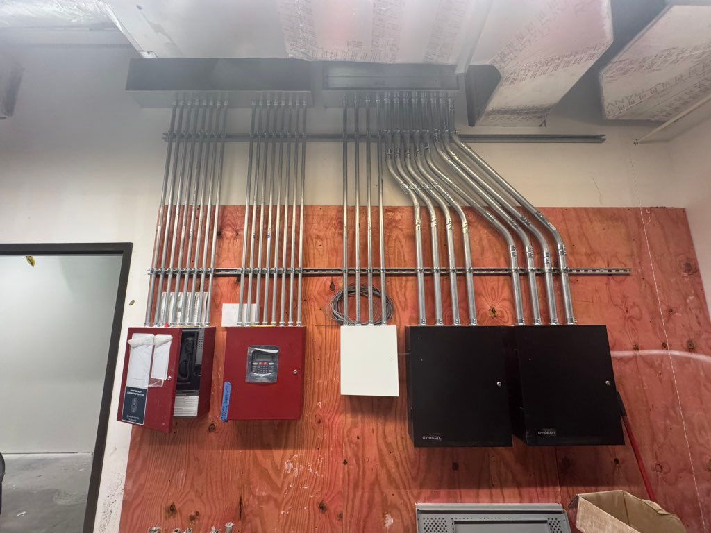 Projects and media