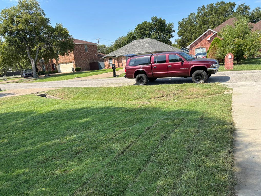 Customer photos