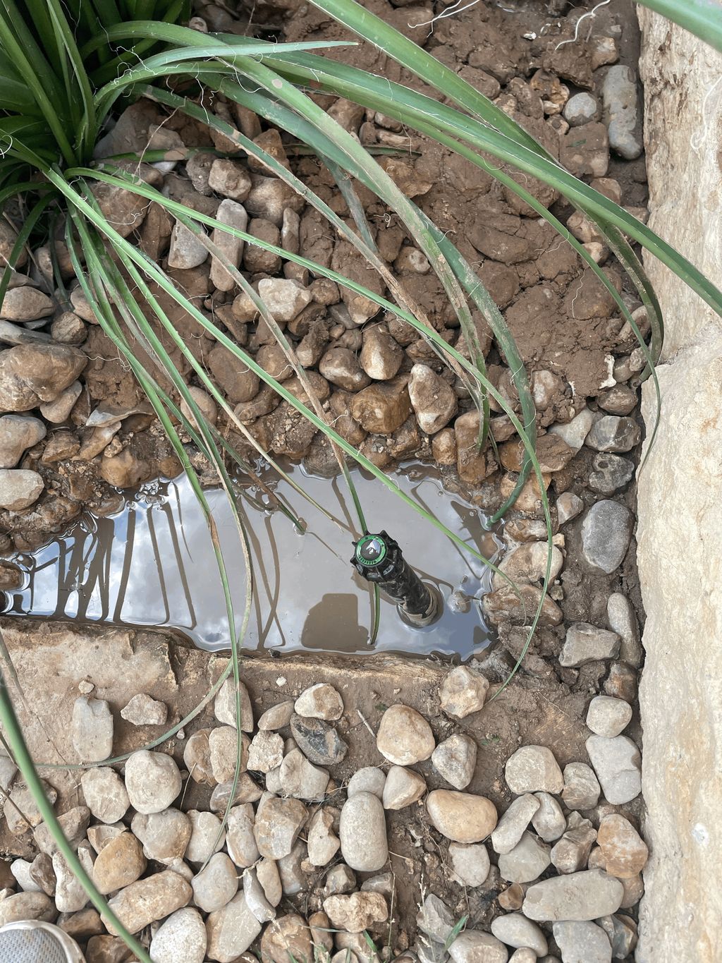 Irrigation & Sprinkler System Repair