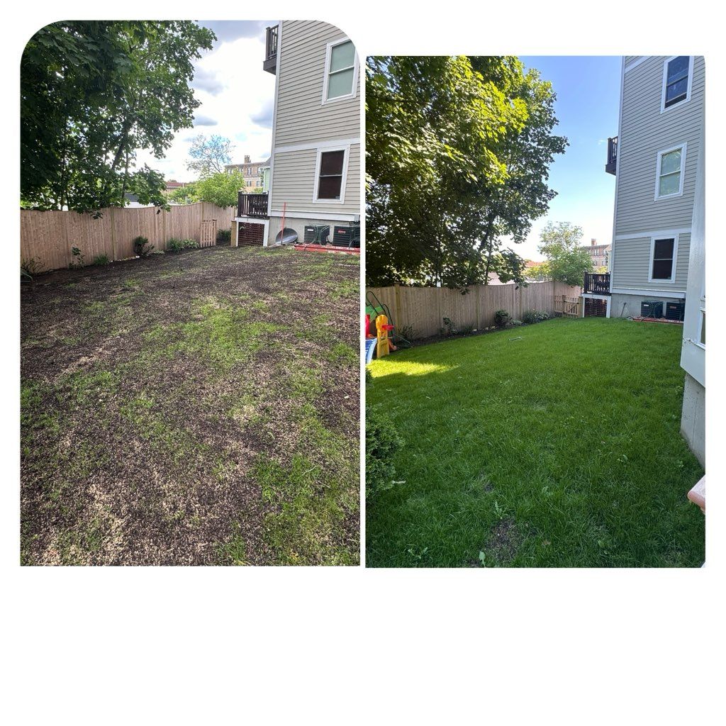 reseeding