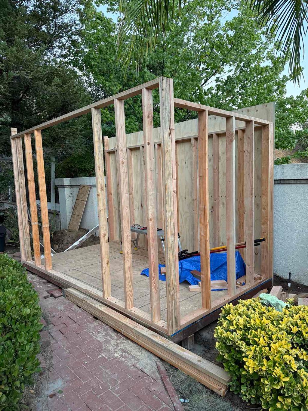 Projects and media