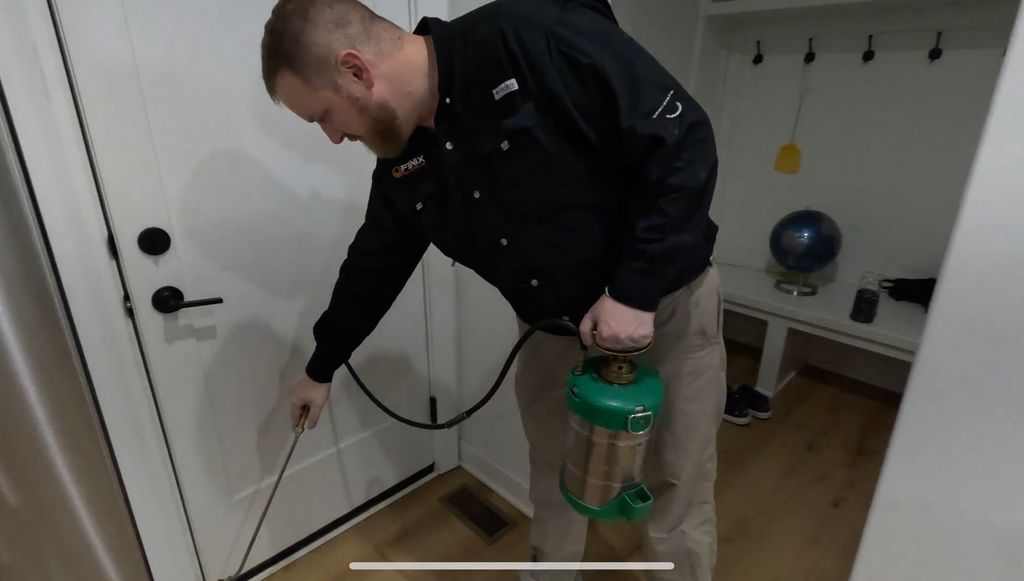 Interior Treatments