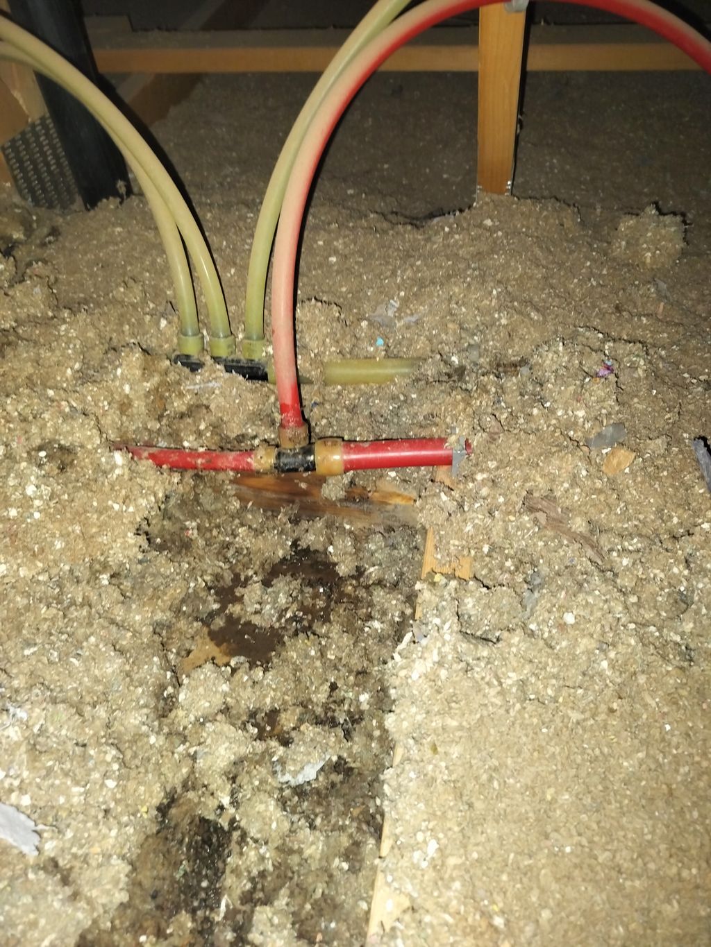 Attic Leak & Mold