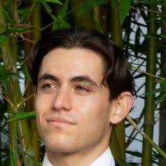 pro avatar