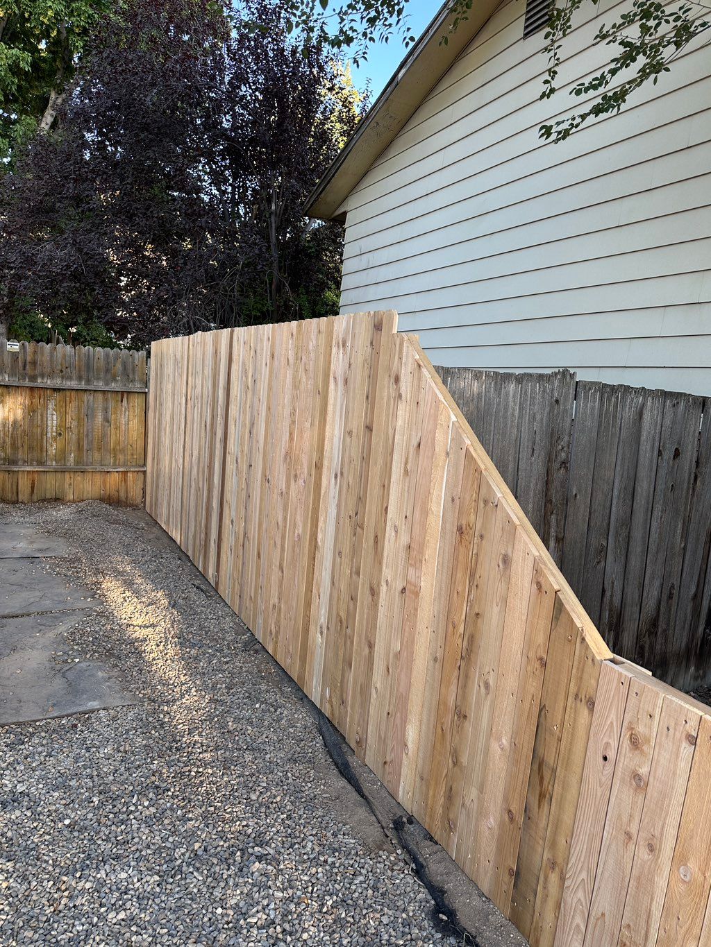 Customer photos