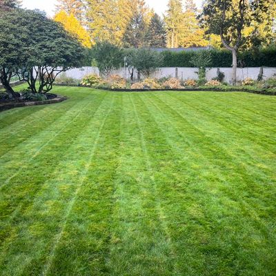 Avatar for Green Gold Landscaping