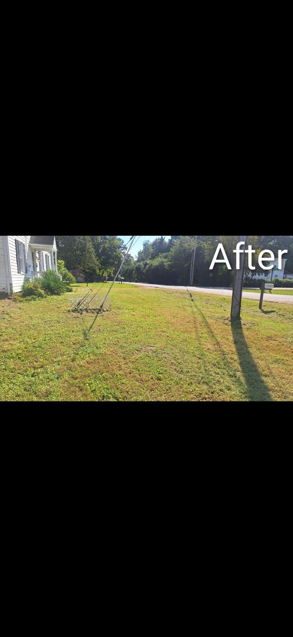 Before side